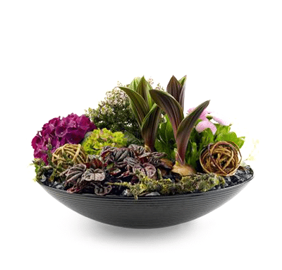 blomster